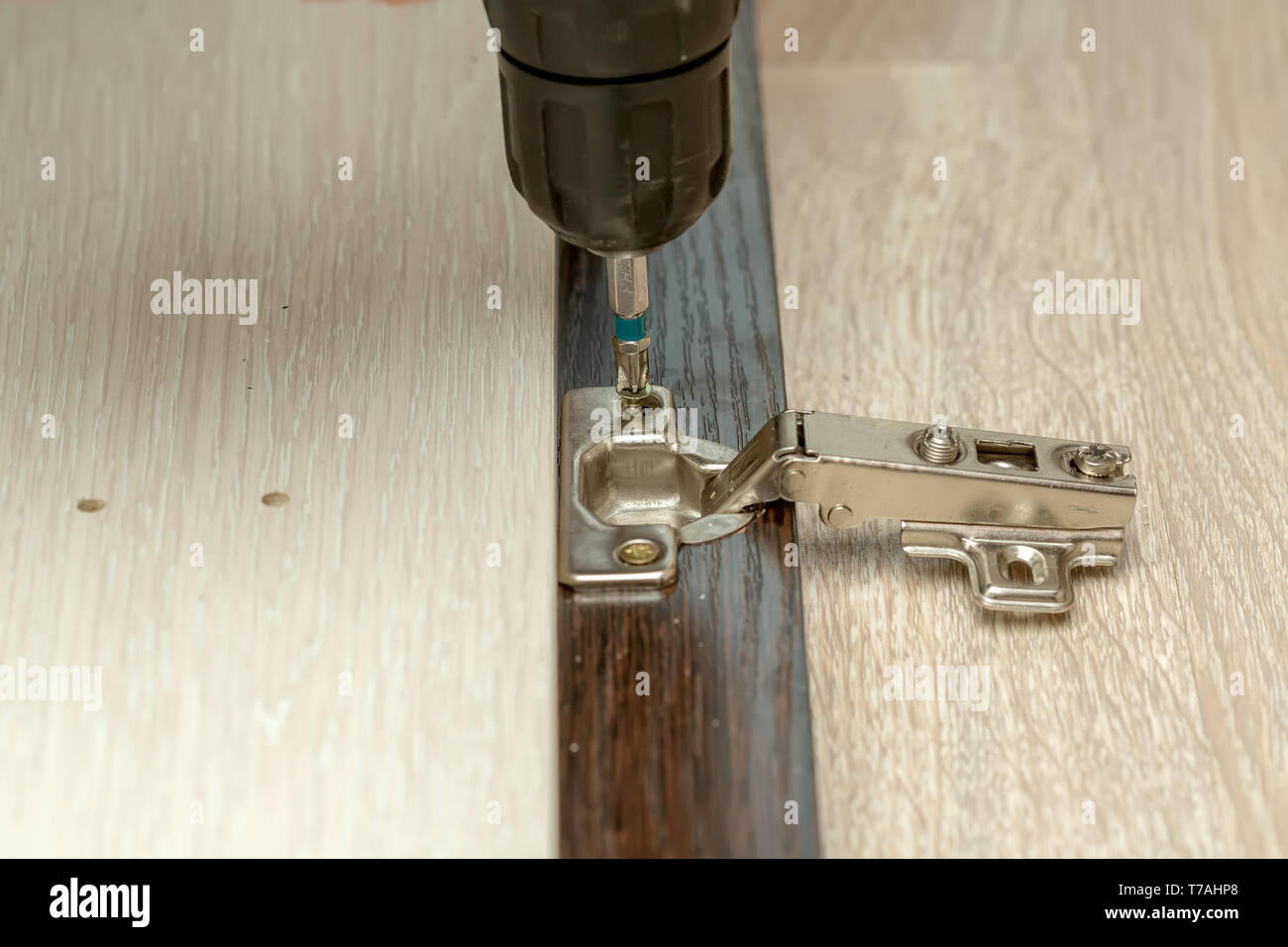 Fixing door furniture hinges. Fixing furniture hinges Stock Photo Alamy