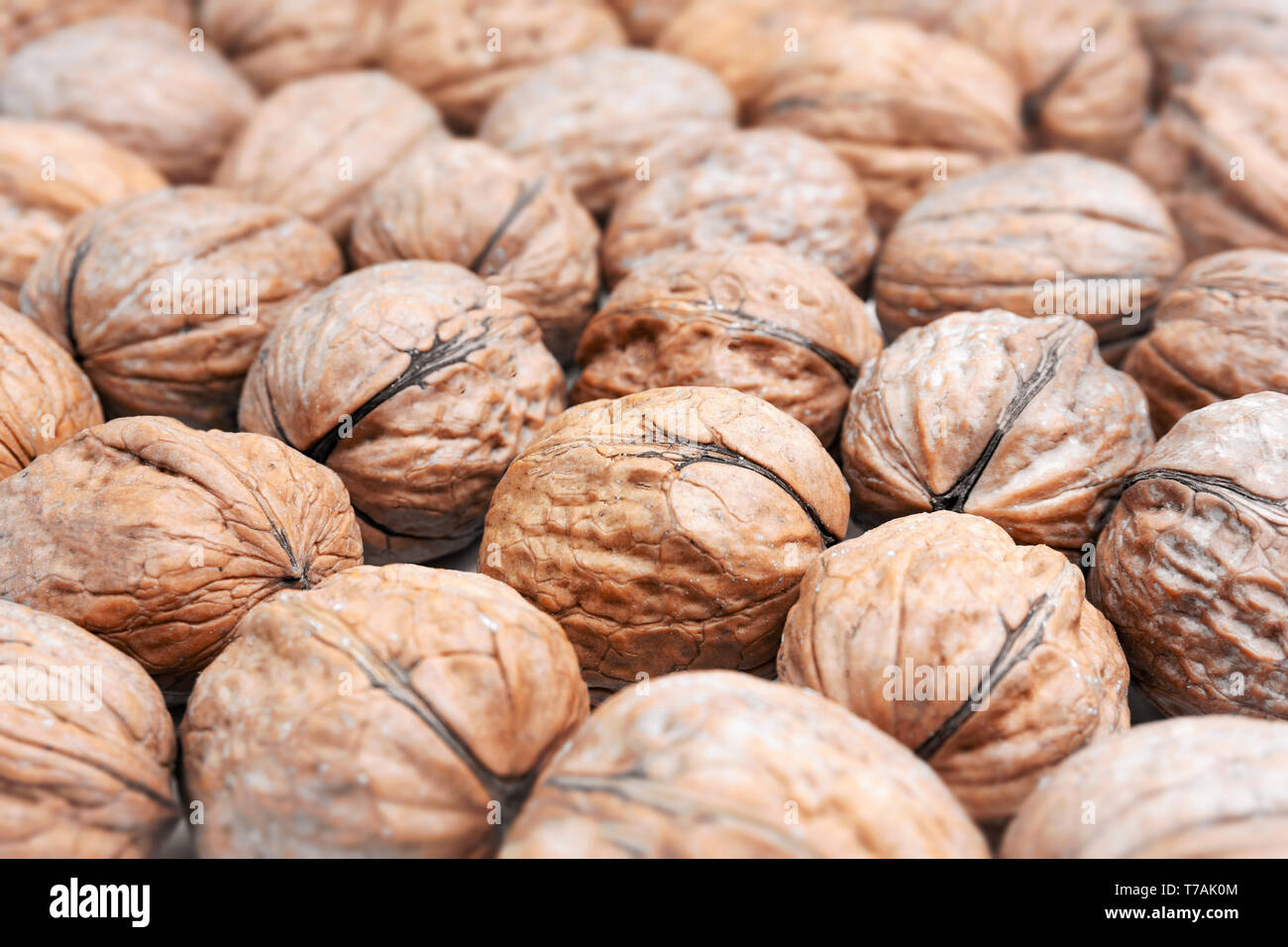 Closeup of many healthy Walnuts. View of fresh Walnuts. Healthy nuts