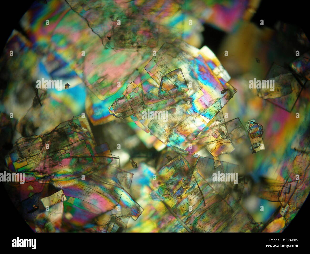 Crystallized liquid crystal under polarized light microscope forming a ...