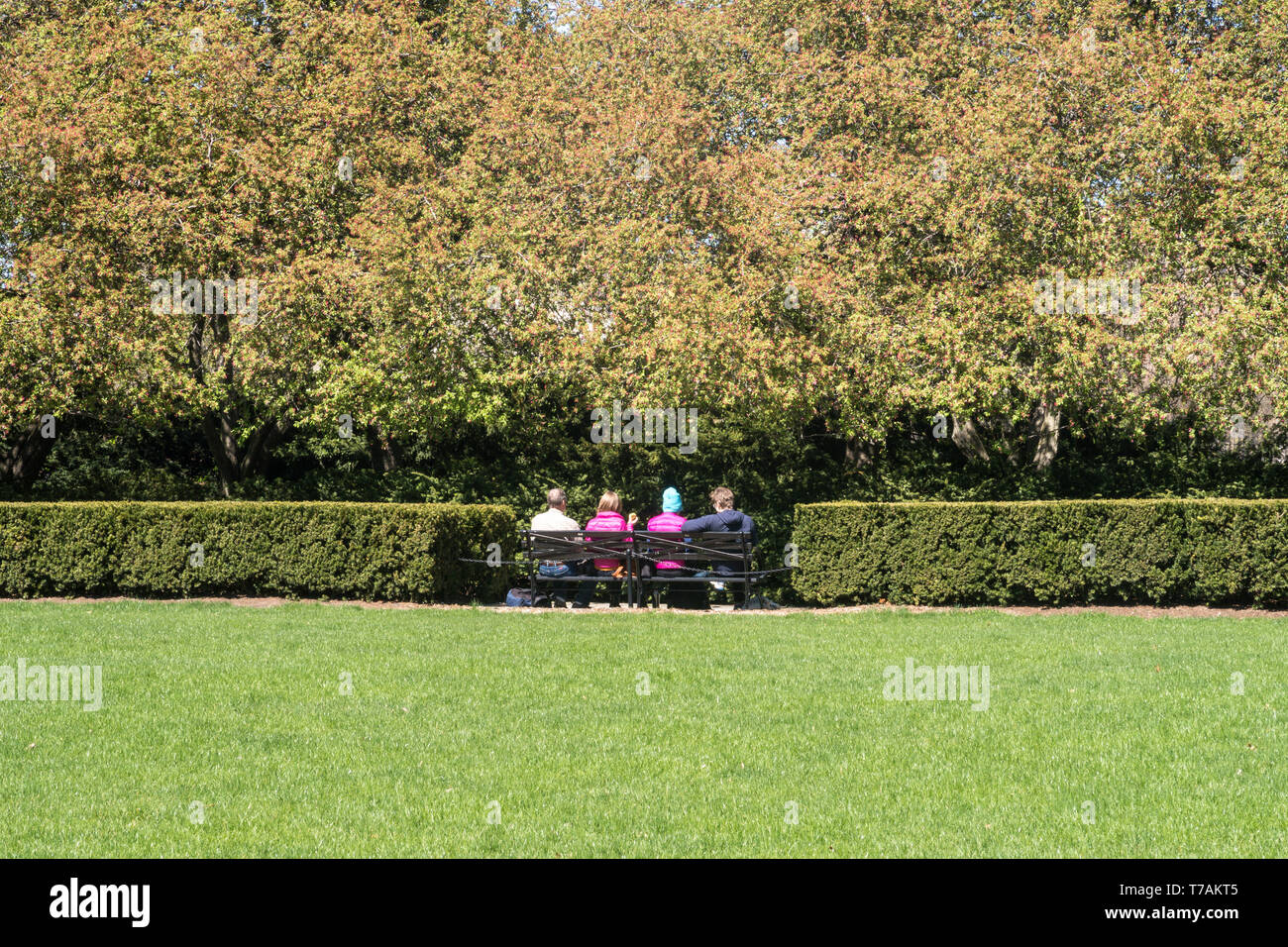 Sunlit Park Bench Scene Stock Photos Sunlit Park Bench Scene