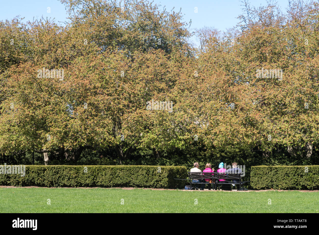 Sunlit Park Bench Scene Stock Photos Sunlit Park Bench Scene