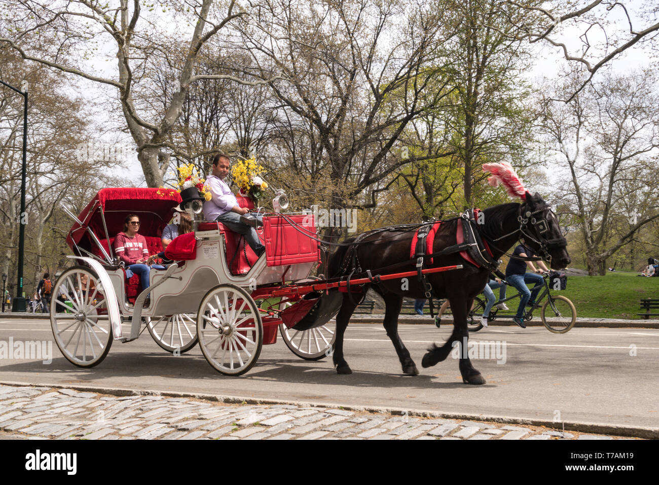 New york city horse drawn hi-res stock photography and images - Alamy