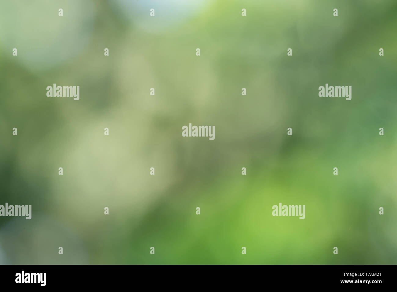 Bokeh from natural light Stock Photo - Alamy