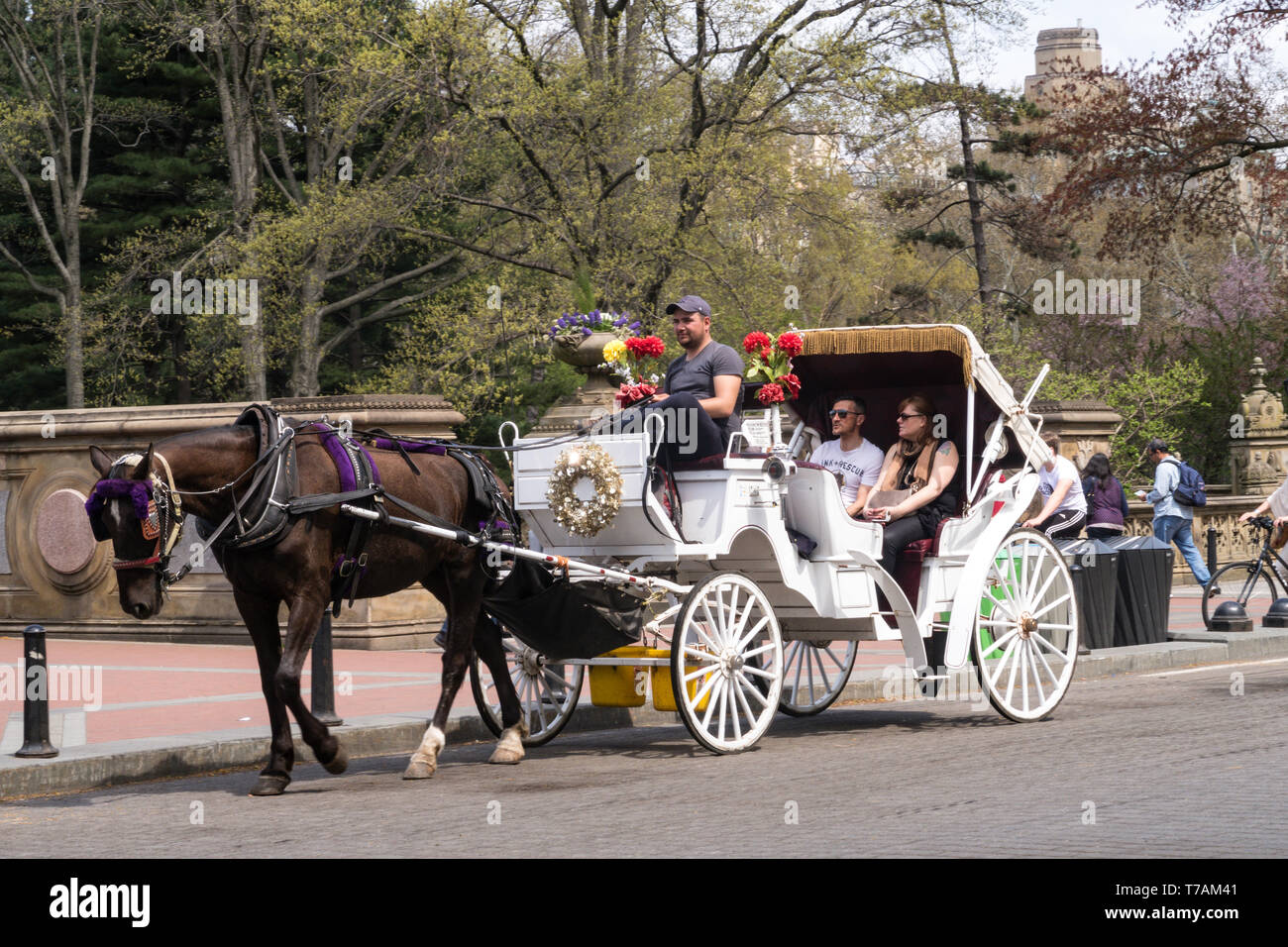 City tour in the horse carriage hi-res stock photography and images - Alamy