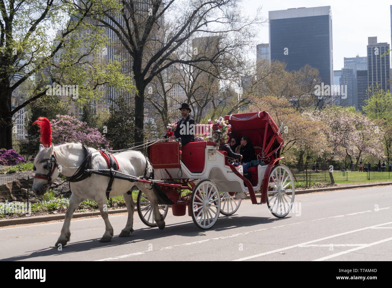 New york city horse drawn hi-res stock photography and images - Alamy