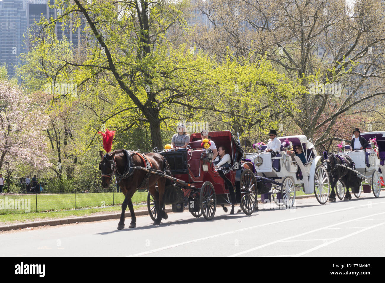 Central park horse carriages hi-res stock photography and images - Alamy