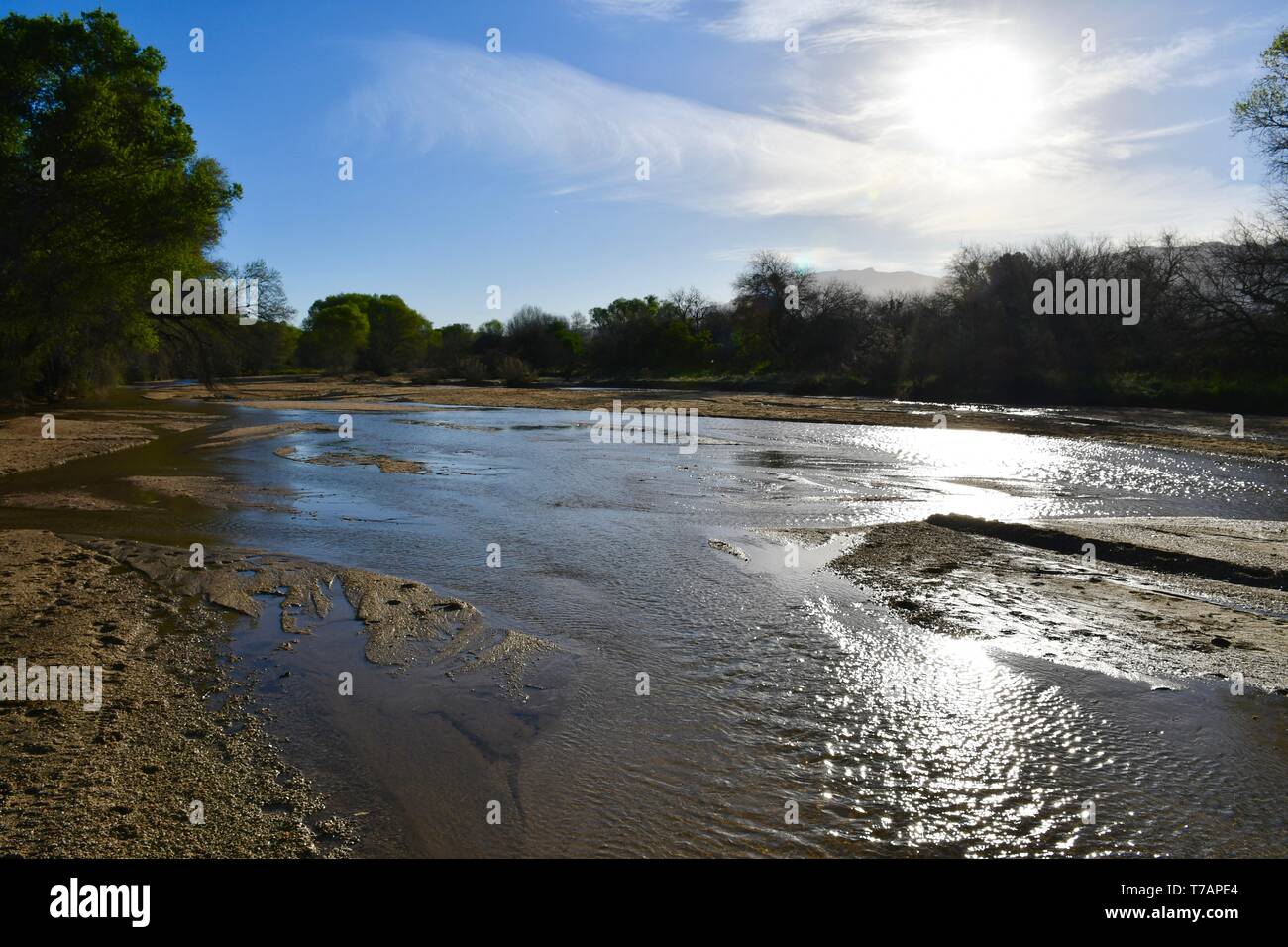 Tanque Verde Wash seen after winter rain Stock Photo Alamy