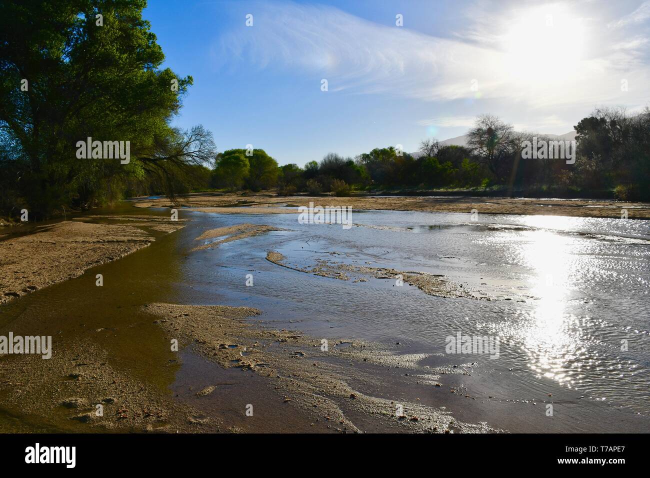 Tanque Verde Wash seen after winter rain Stock Photo Alamy