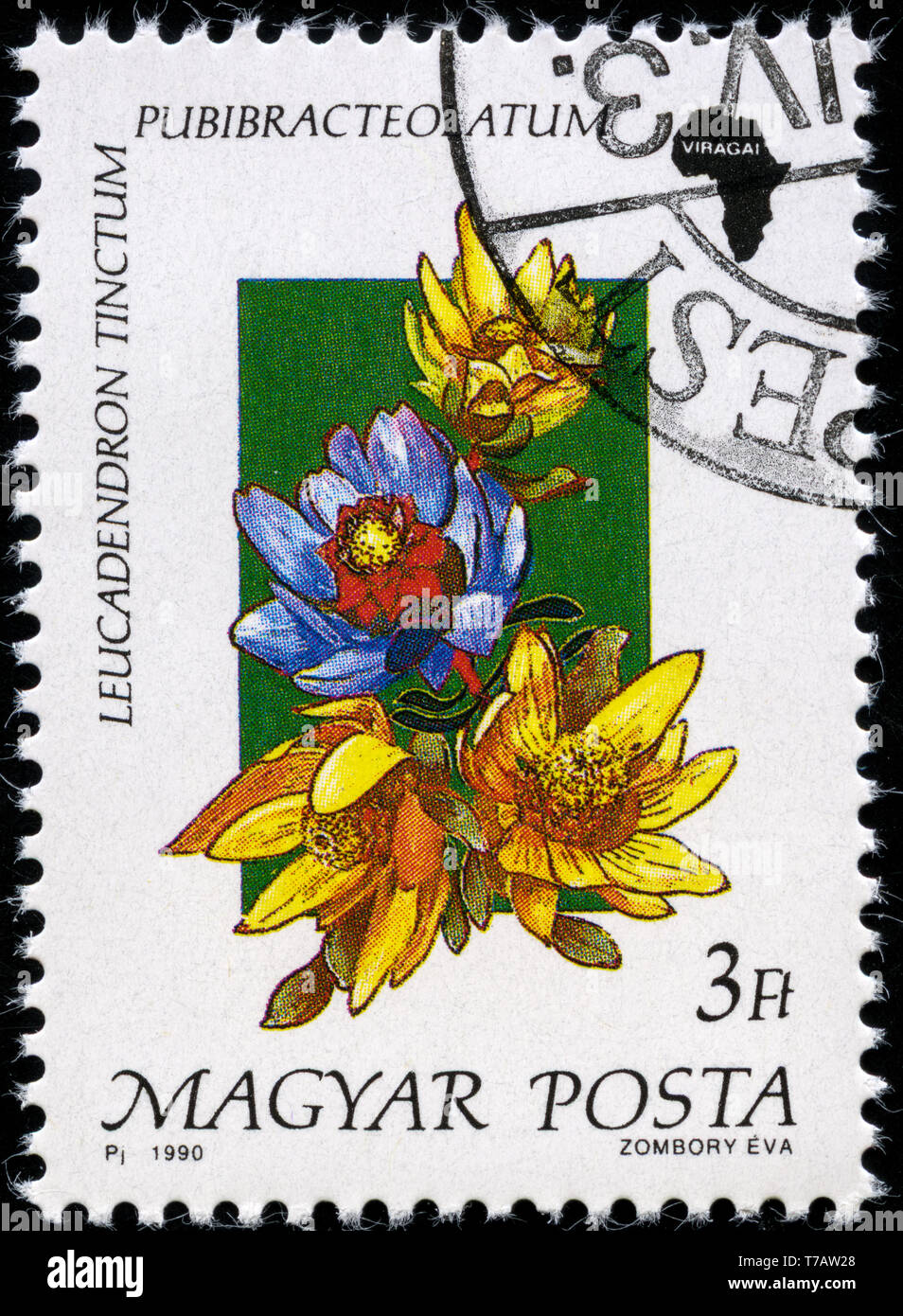 Postage stamp from Hungary in the Flora of Africa series issued in 1990 ...