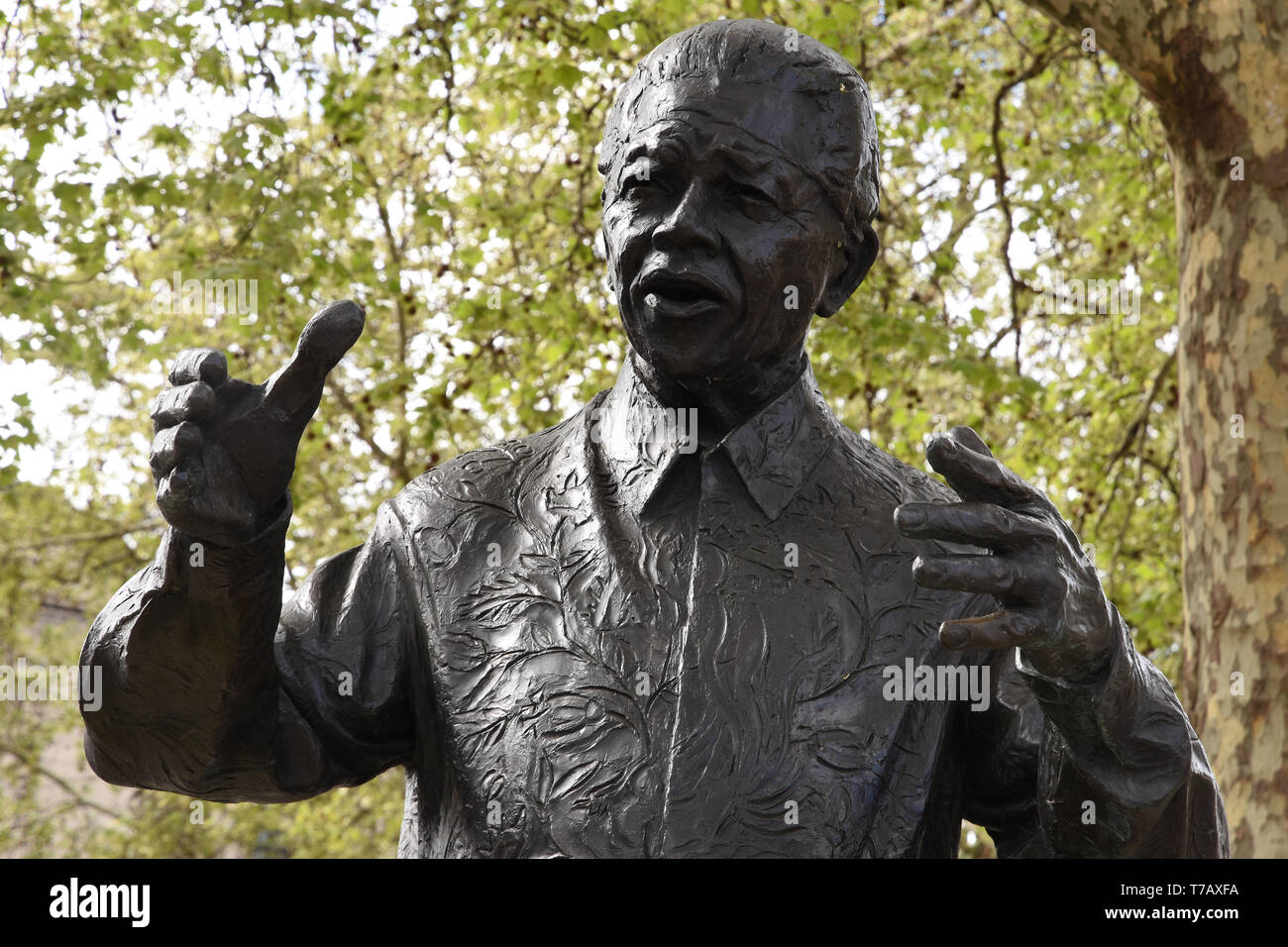 Nelson Mandela Statue, Parliament Square, Westminster, London. UK Stock Photo