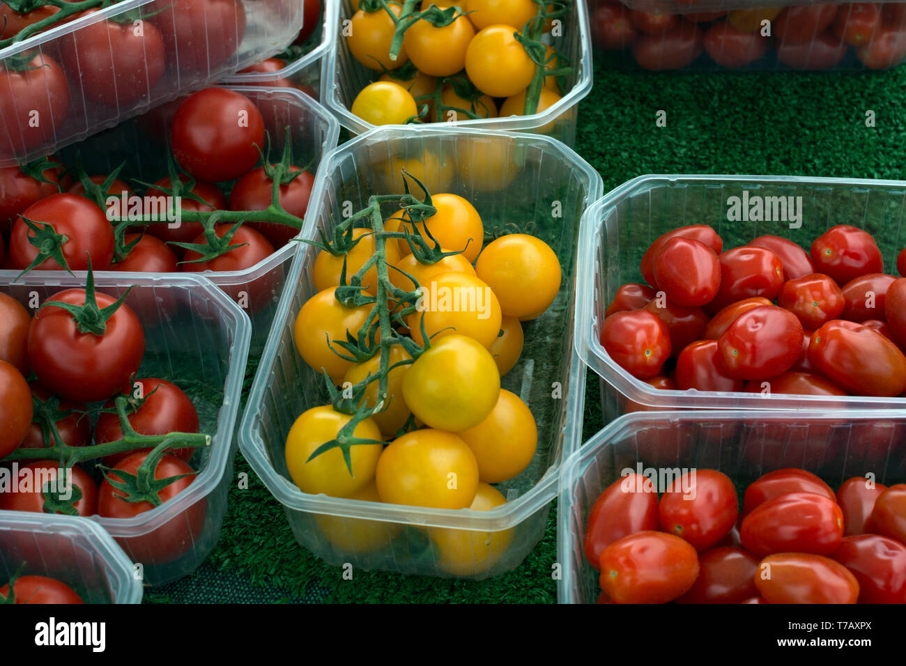 Plastic punnets of tomatoes Stock Photo - Alamy