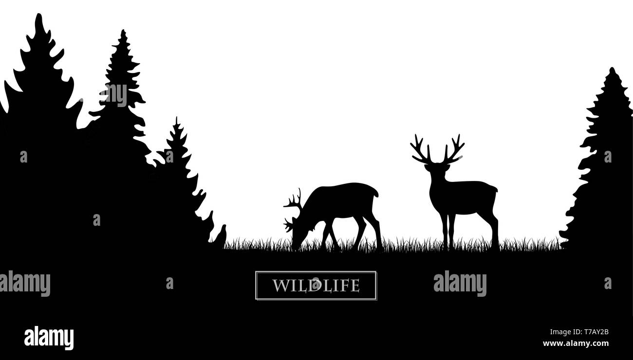 two wildlife reindeer silhouette in the forest on the meadow black and white vector illustration EPS10 Stock Vector