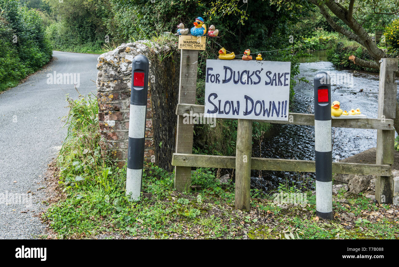 Slow Down signs outside the Dorset village of Toller Porcorum using toy ducks to convey the message. Stock Photo
