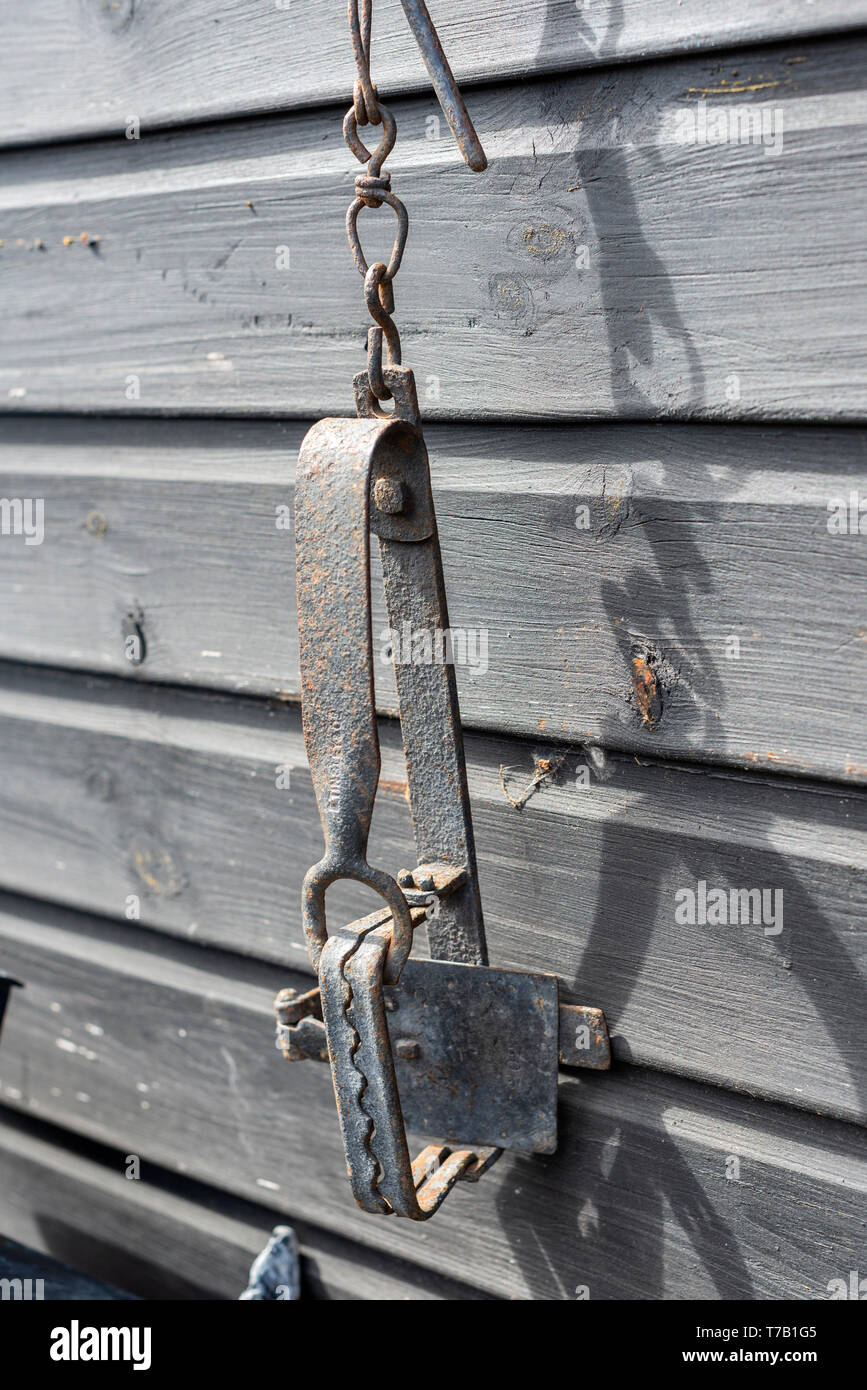 Used Metal Animal Trap Isolated on White Background Stock Photo - Alamy