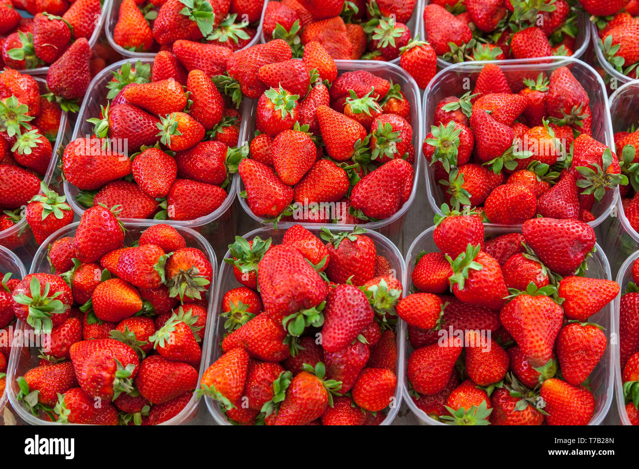 strawberry trays in market Stock Photo