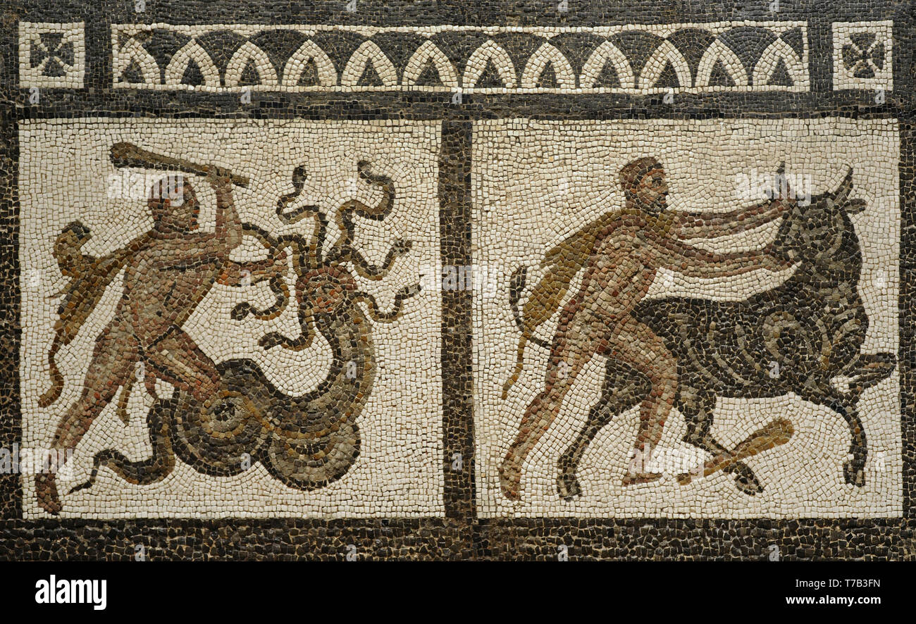 The Labours of Hercules. Roman mosaic. Detail. Depiction of Hercules battling the Lernaean Hydra (right) and capturing the Cretan Bull, ordered by King Eurystheus and bring it back to him (left). 3rd century AD. From Liria (Valencia province, Spain). National Archaeological Museum. Madrid. Spain. Stock Photo