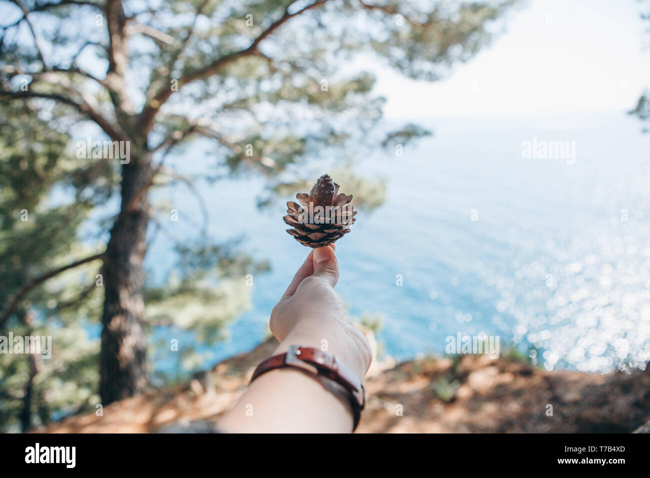A girl holds in her hand a fir cone on the background of a natural landscape with dervishes and the sea. Eco-friendly concept. Stock Photo