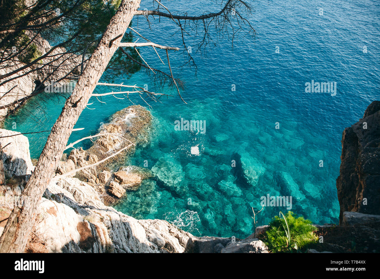 Beautiful natural landscape with trees and sea. Stock Photo
