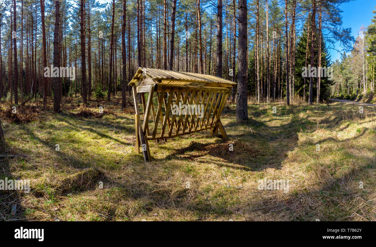 Deer Feeder In The Forest In Ostergotland Sweden Stock Photo