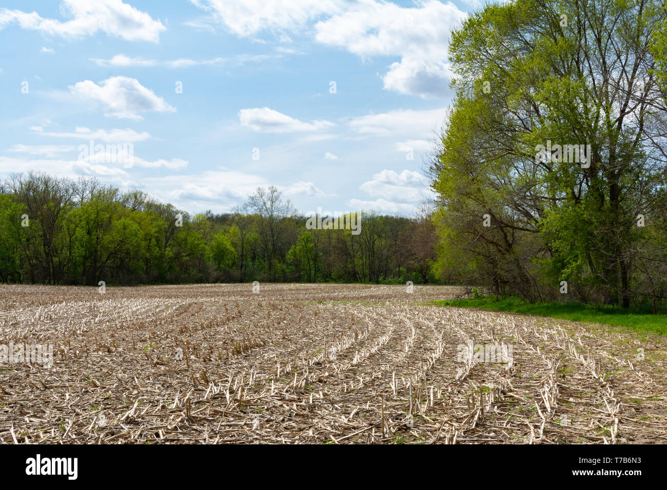 Open field in rural Illinois on a Spring afternoon Stock Photo - Alamy
