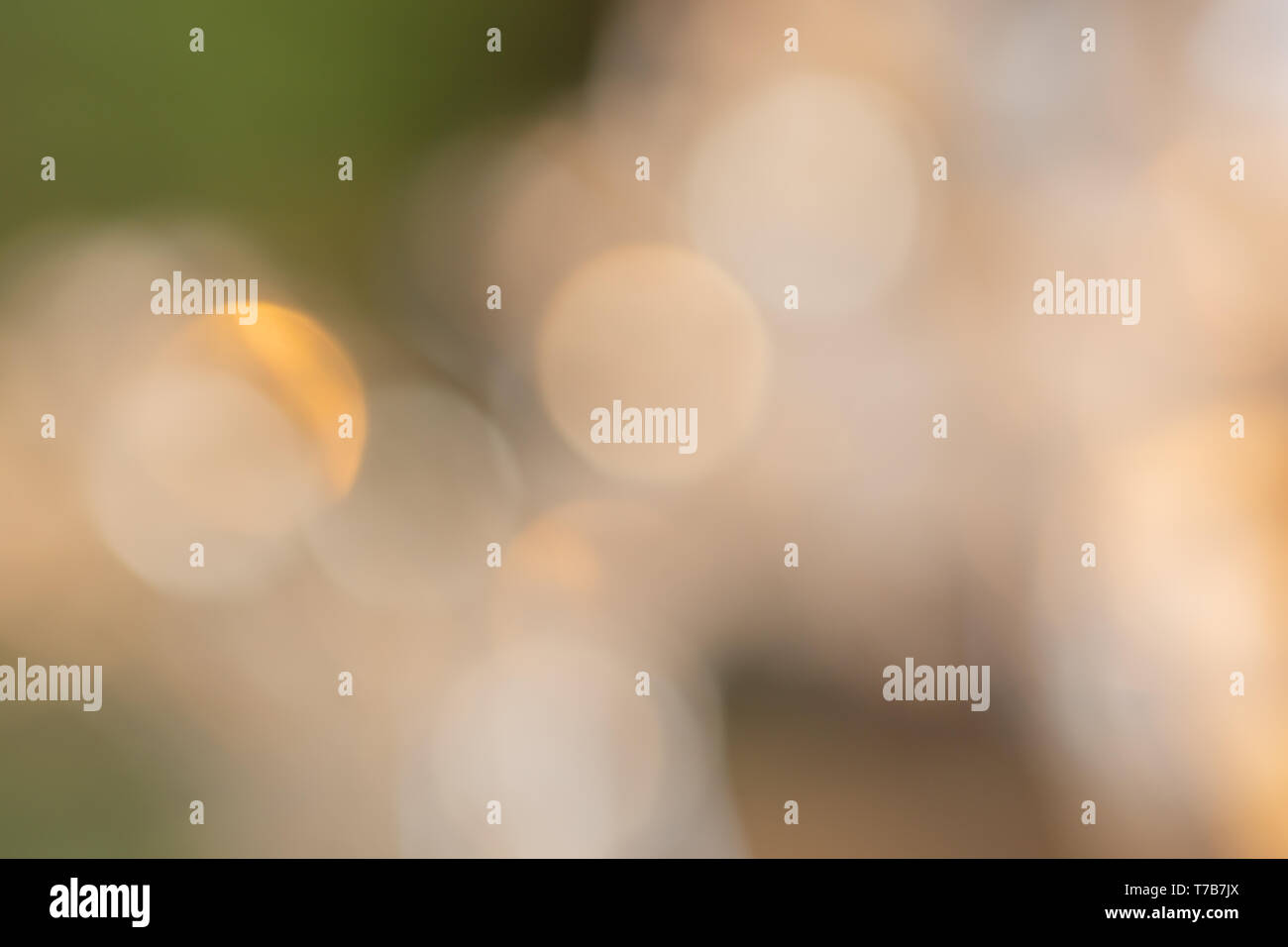 Bokeh from natural light Stock Photo - Alamy