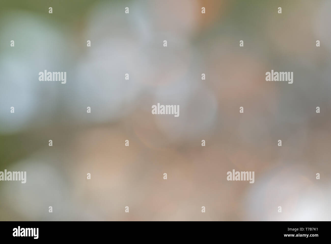 Bokeh from natural light Stock Photo - Alamy