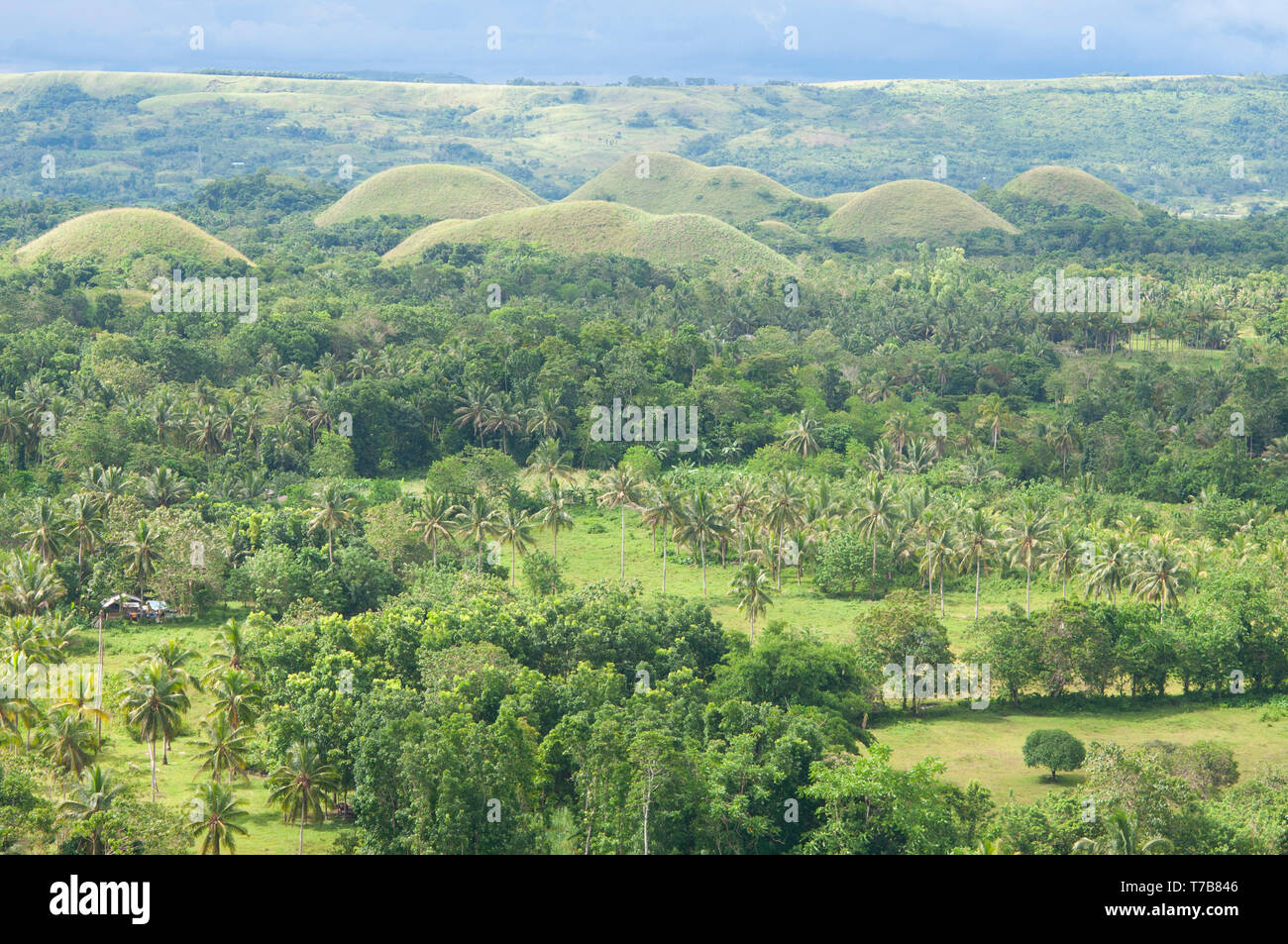 Chocolate Hills, Bohol, Philippines, South East Asia, Asia Stock Photo Alamy
