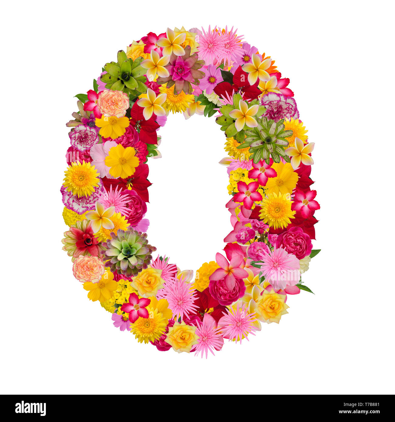 Number 0 made from flower isolated on white background. Whit clipping path Stock Photo