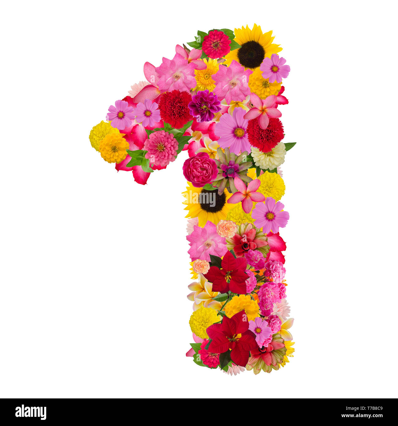 Number 1 made from flower isolated on white background. Whit clipping path Stock Photo