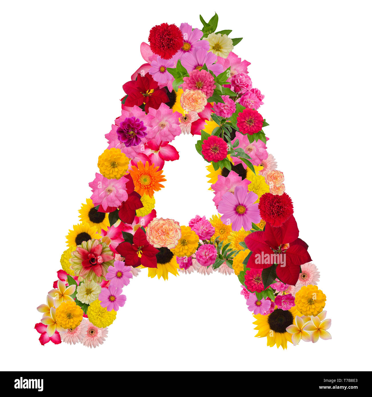 Letter a alphabet with flower ABC concept type as logo isolated on white background. With clipping path Stock Photo