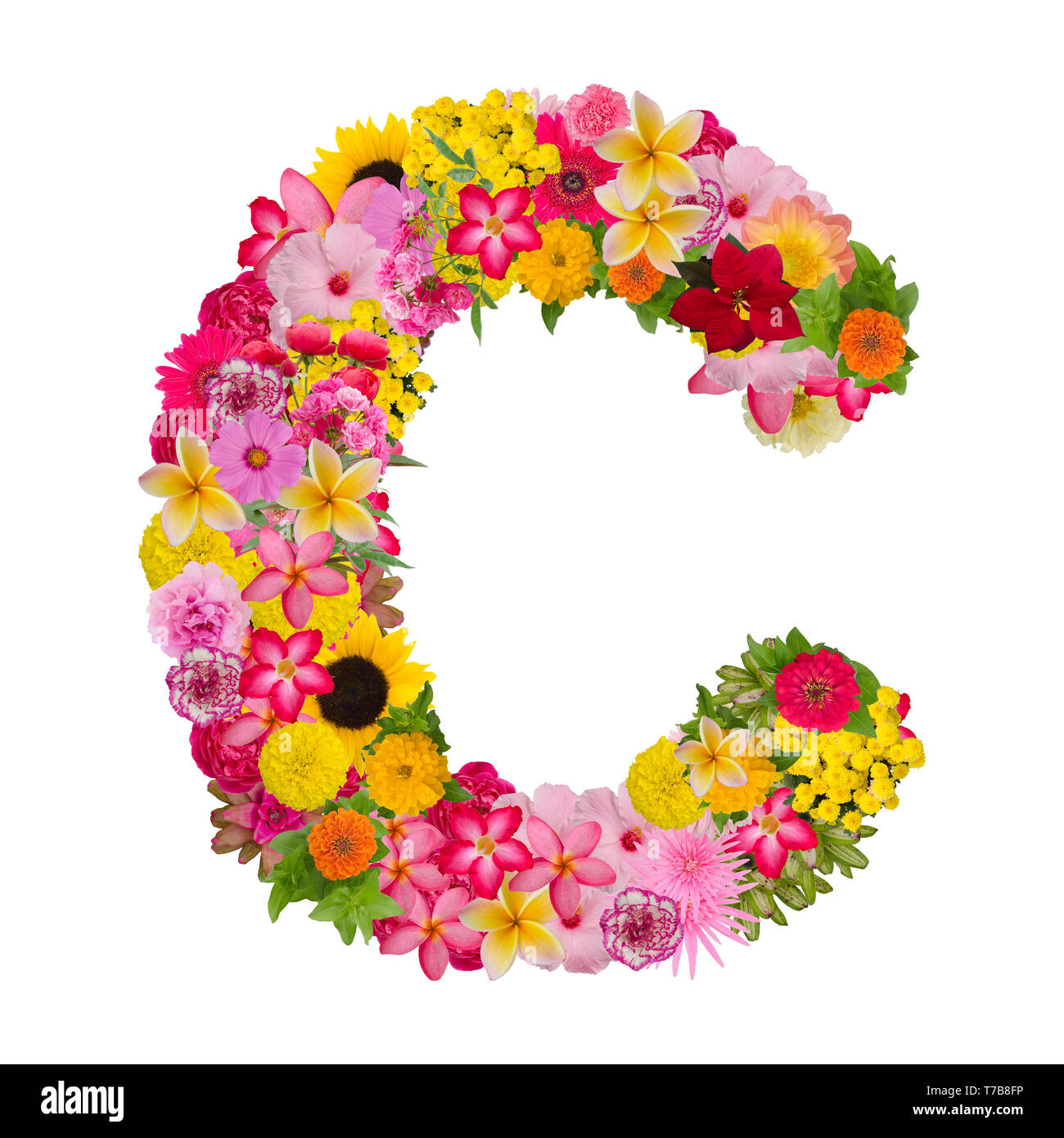Letter C alphabet with flower ABC concept type as logo isolated on white background. With clipping path Stock Photo