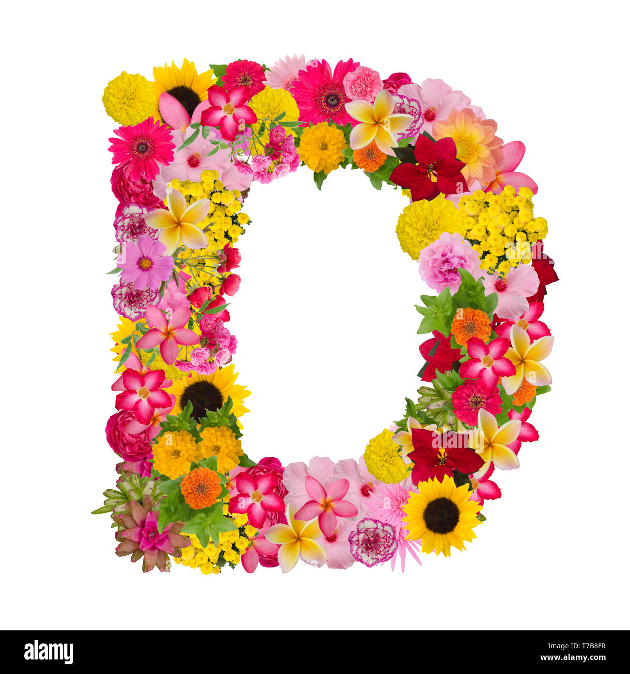 Letter D alphabet with flower ABC concept type as logo isolated on white background. With clipping path Stock Photo
