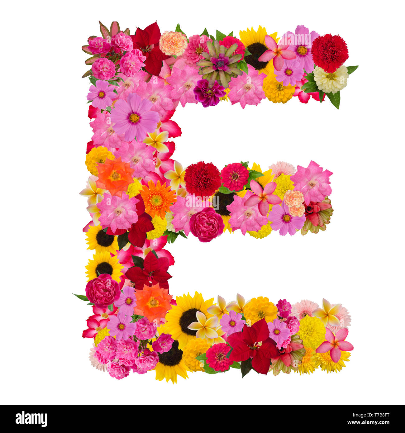 Letter E alphabet with flower ABC concept type as logo isolated on white background Stock Photo