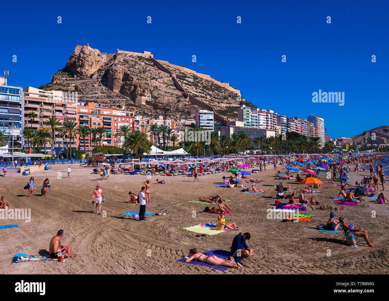 Alicante: Castillo de Santa Bárbara y playa del Postiguet. Comunidad Valenciana. España Stock Photo