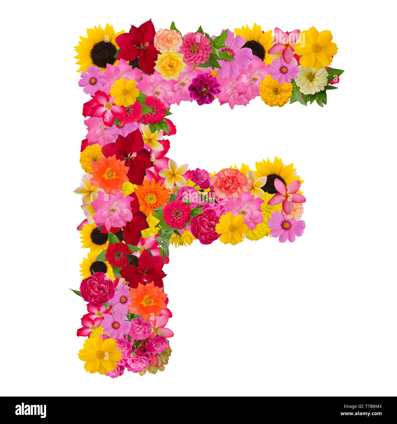Letter F alphabet with flower ABC concept type as logo isolated on ...