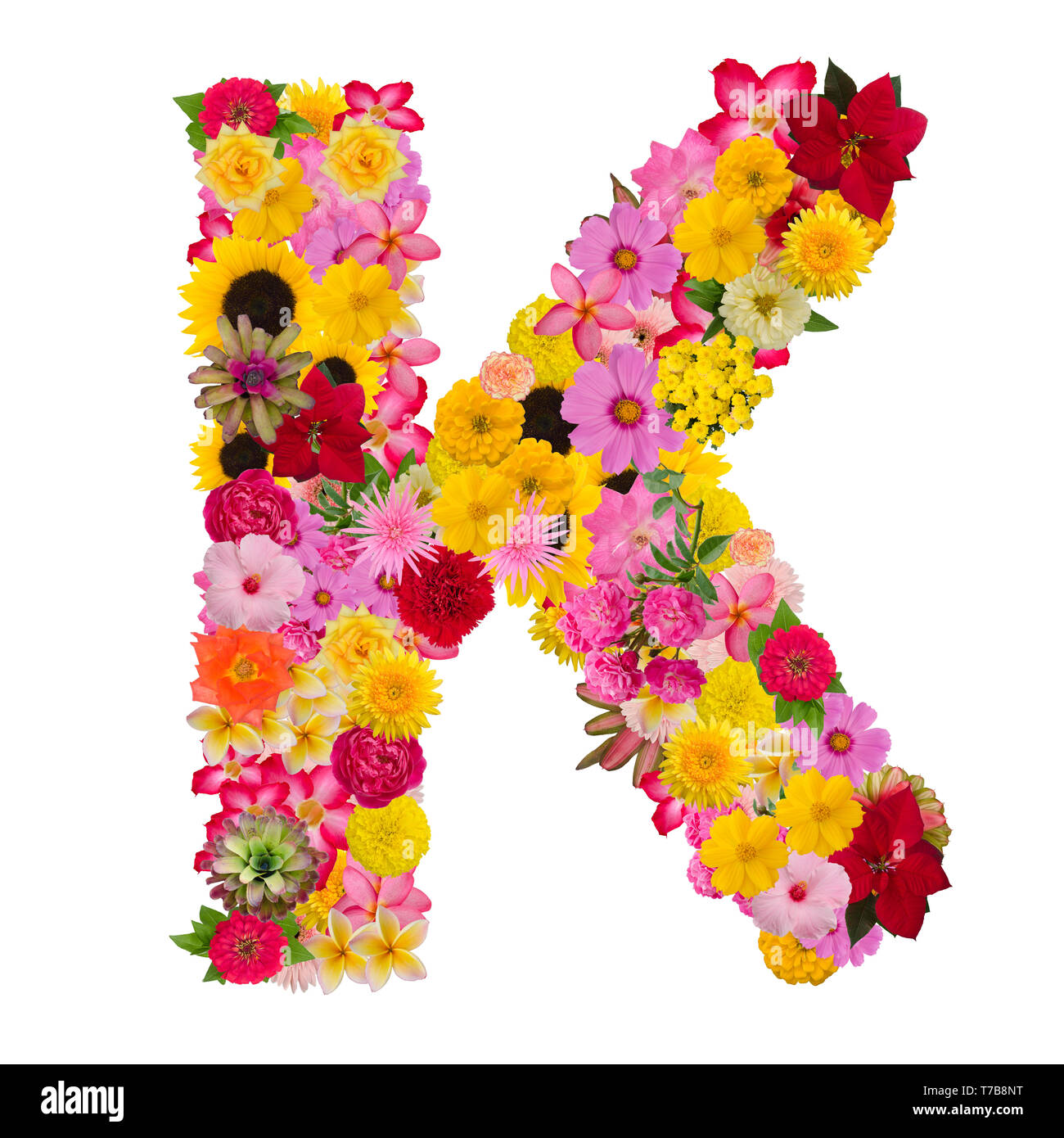 Letter K alphabet with flower ABC concept type as logo isolated on ...