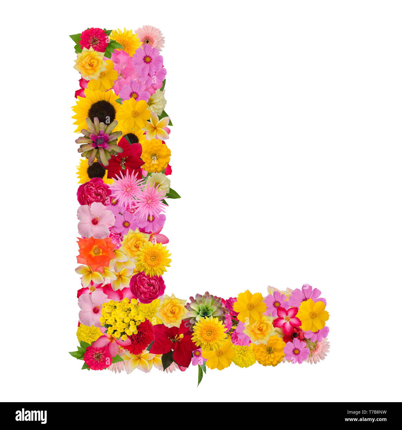 T*S様 ABCD FLEURS FLORAL PAINTING LOGO L/ Letter L alphabet with flower ABC concept type as logo isolated on