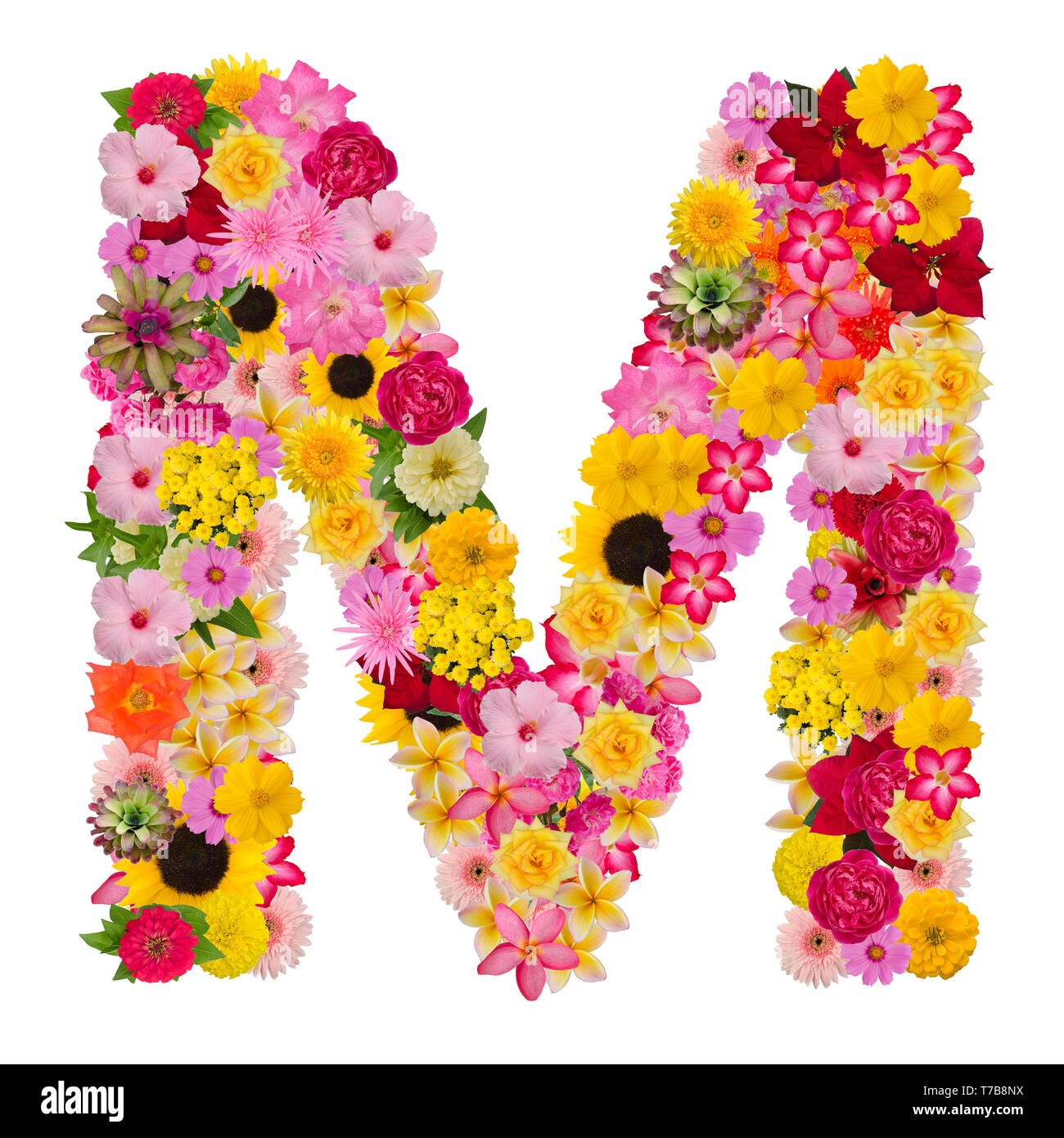 Letter M alphabet with flower ABC concept type as logo isolated on ...