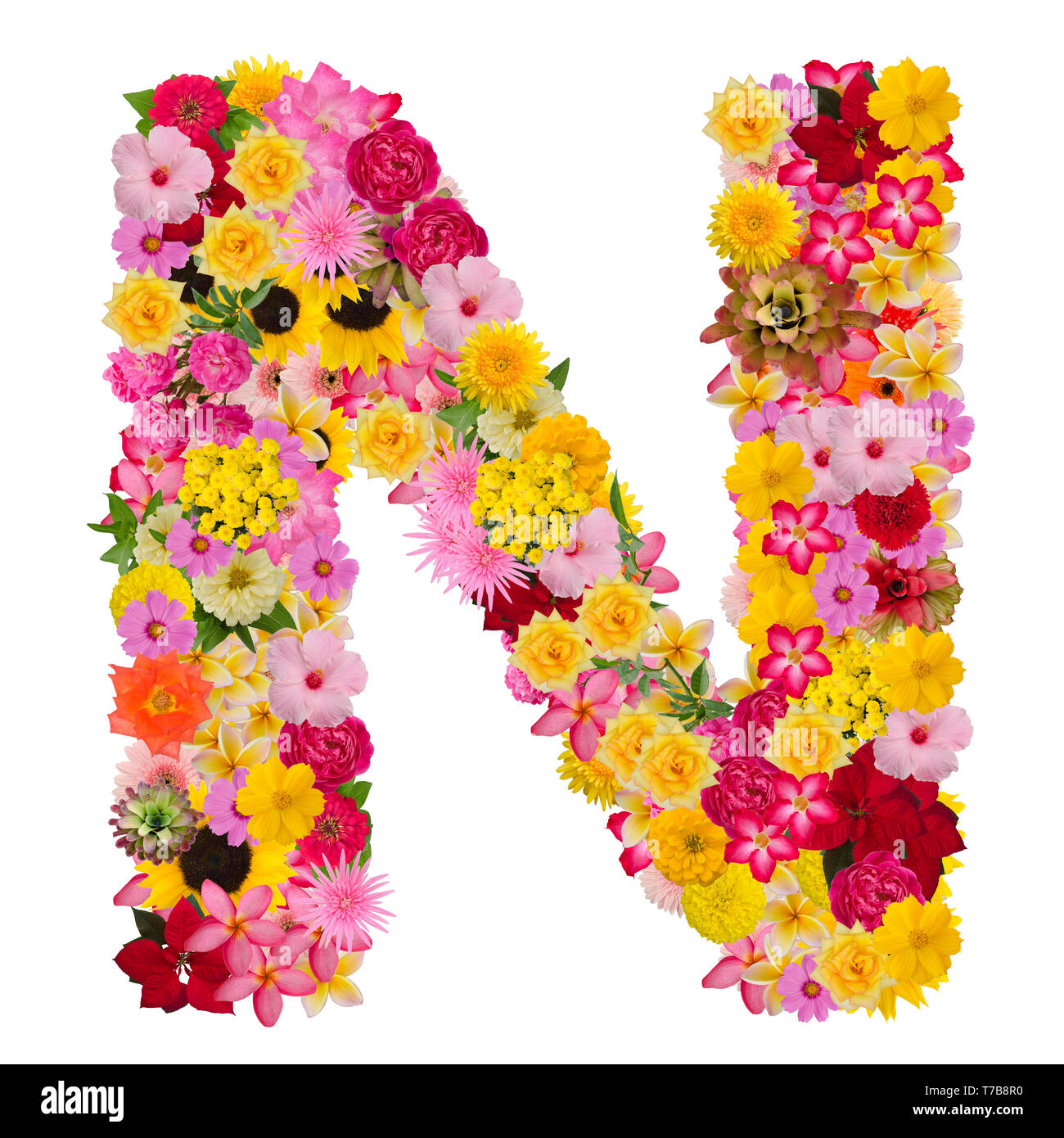 Letter N alphabet with flower ABC concept type as logo isolated on white background. With clipping path Stock Photo