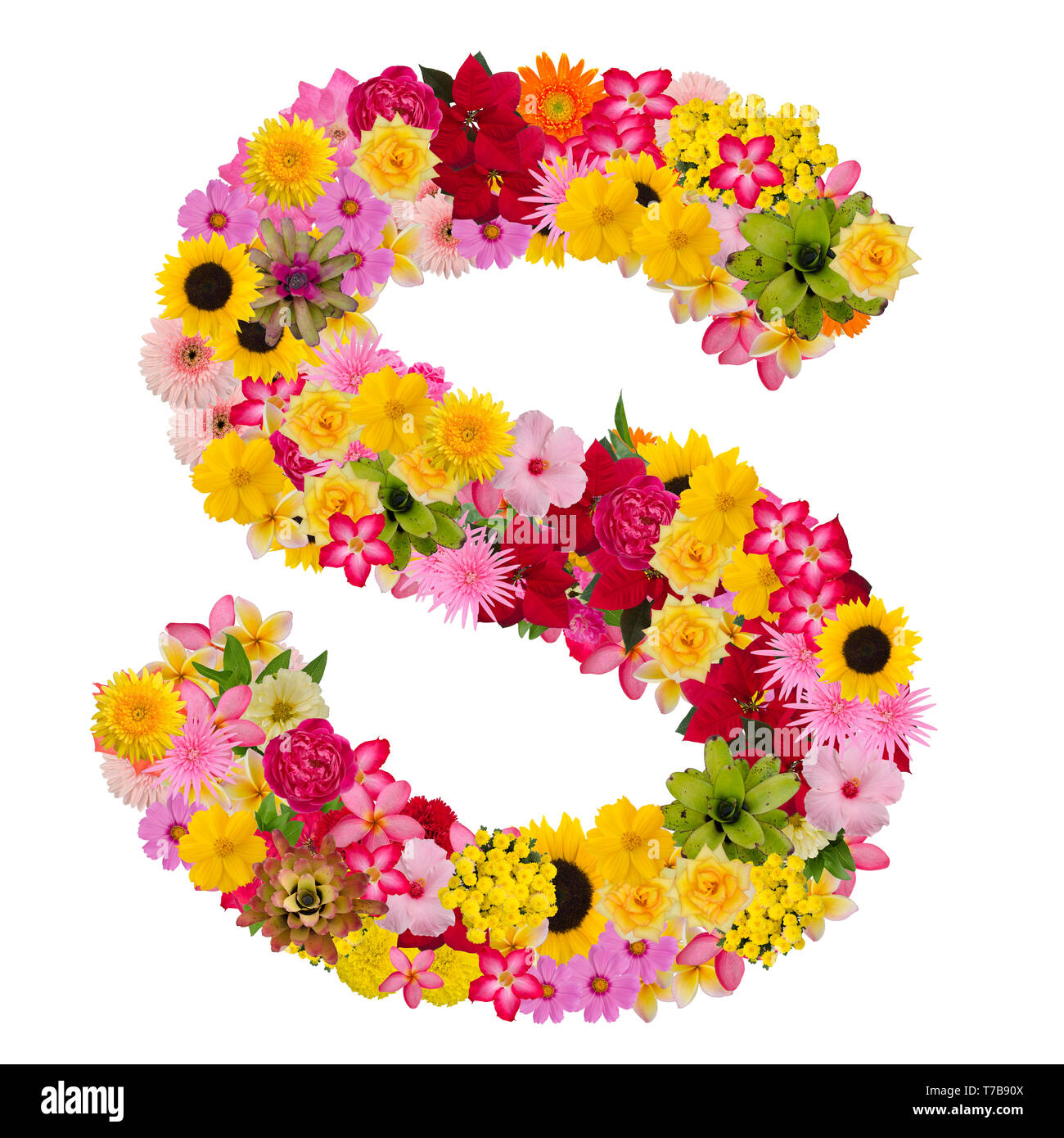 Letter S alphabet with flower ABC concept type as logo isolated on