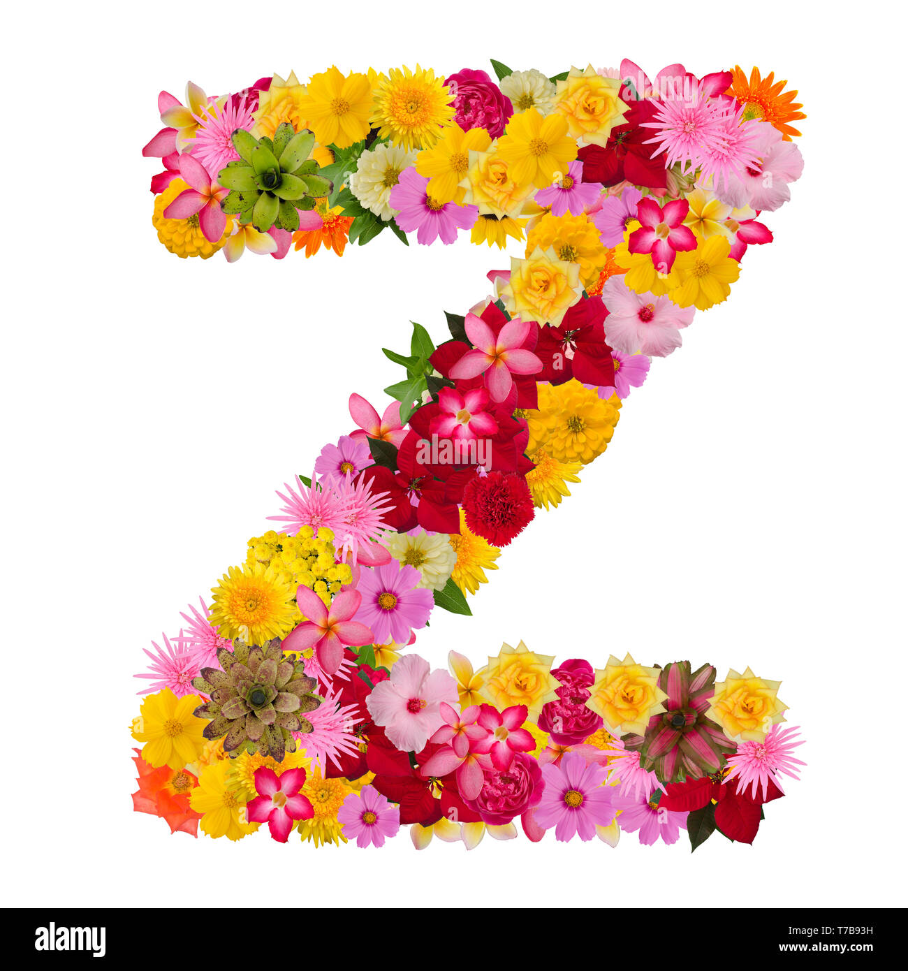 Letter Z alphabet with flower ABC concept type as logo isolated on
