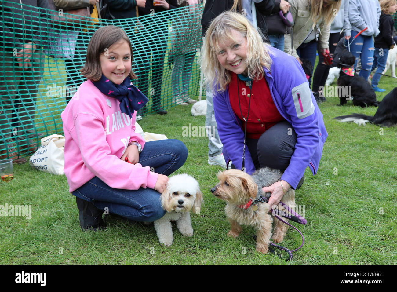 London, UK. 5th May 2019. Judge Liza Goddard with her Yorkshire Terrier, Violet, with contestant Poppy the Cavashon and owner Leila at the All Dogs Matter Bark Off charity dog show, Hampstead Heath, London, England. Cute dogs took part in several categories of this annual dog show which is run by the charity which houses and rehomes dogs in London and finds homes for dogs from overseas. Dogs competed to be cutest pup, best rescue and more. More information at www.alldogsmatter.co.uk Credit: Paul Brown/Alamy Live News Stock Photo