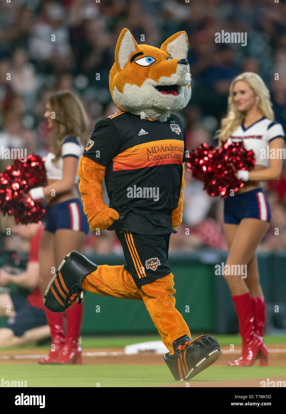 Dbwh hires stock photography and images Alamy