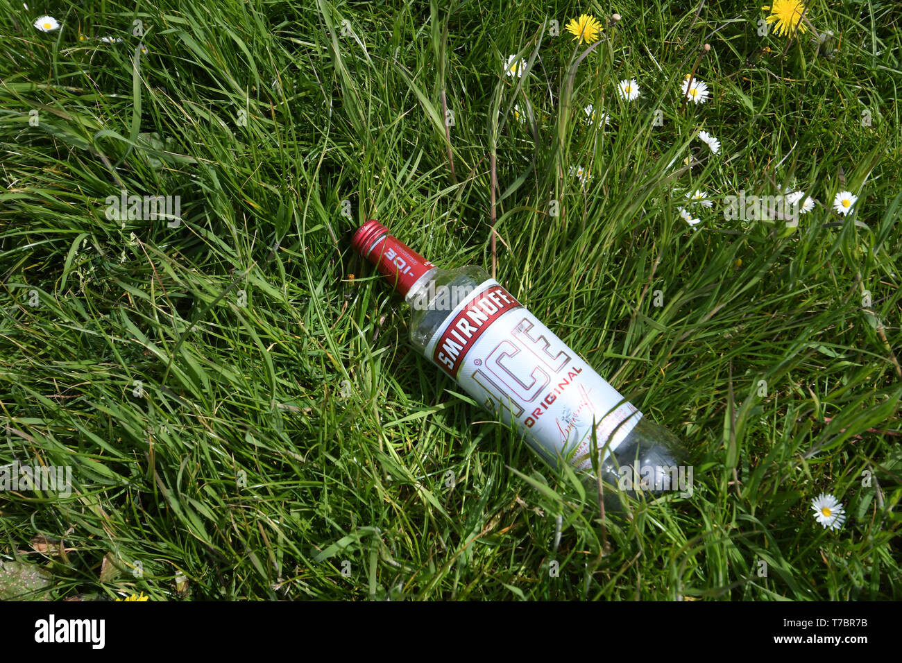 Parc Trammel Cove, Porthleven, Cornwall, UK. 6th May 2019. empty bottle of Vodka on the field ajoining the cliff. This is the scene of the cliff where 3 men fell 70ft off a cliff late Sunday night near the site of the Masked Ball, weekend Music festival. The injuries are serious and they are being treated at Derriford hospital Plymouth. The summer masked ball is a 3 day festival where attendees can camp on fields that are adjacent to the site of the accident. Credit Cwpix/ Alamy Live News. Stock Photo