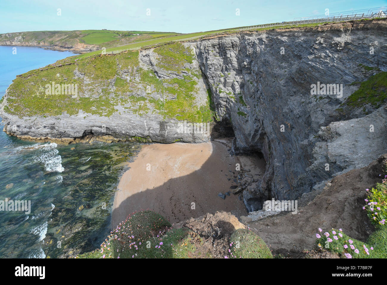 Parc Trammel Cove, Porthleven, Cornwall, UK. 6th May 2019. This is the scene of the cliff where 3 men fell 70ft off a cliff late Sunday night near the site of the Masked Ball, weekend Music festival. The injuries are serious and they are being treated at Derriford hospital Plymouth. The summer masked ball is a 3 day festival where attendees can camp on fields that are adjacent to the site of the accident. Credit Cwpix  / Alamy Live News Stock Photo