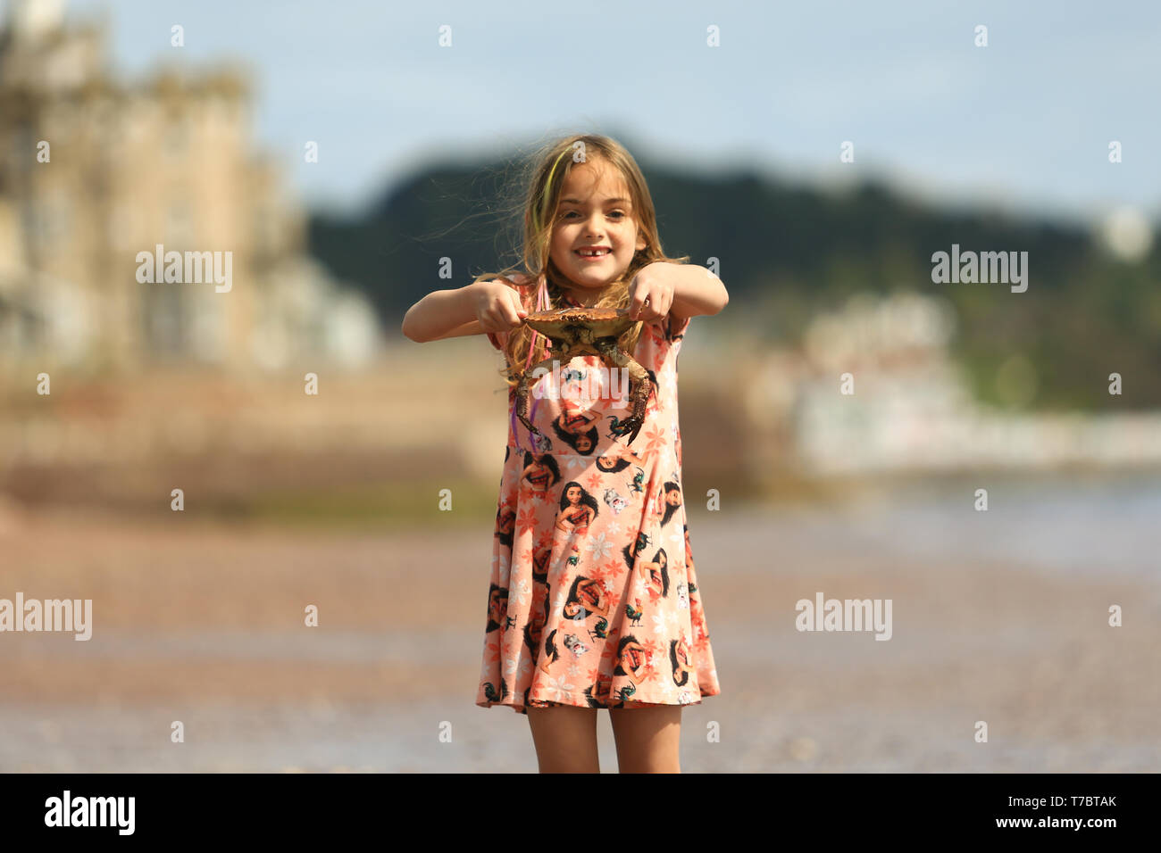 Paignton, Devon, UK. 6th May, 2019. UK Weather: Glorious sunshine at Paignton beach, Devon. Six-year-old Olivia from Bristol proudly shows off a crab she found on Paignton beach. Peter Lopeman/Alamy Live News Stock Photo