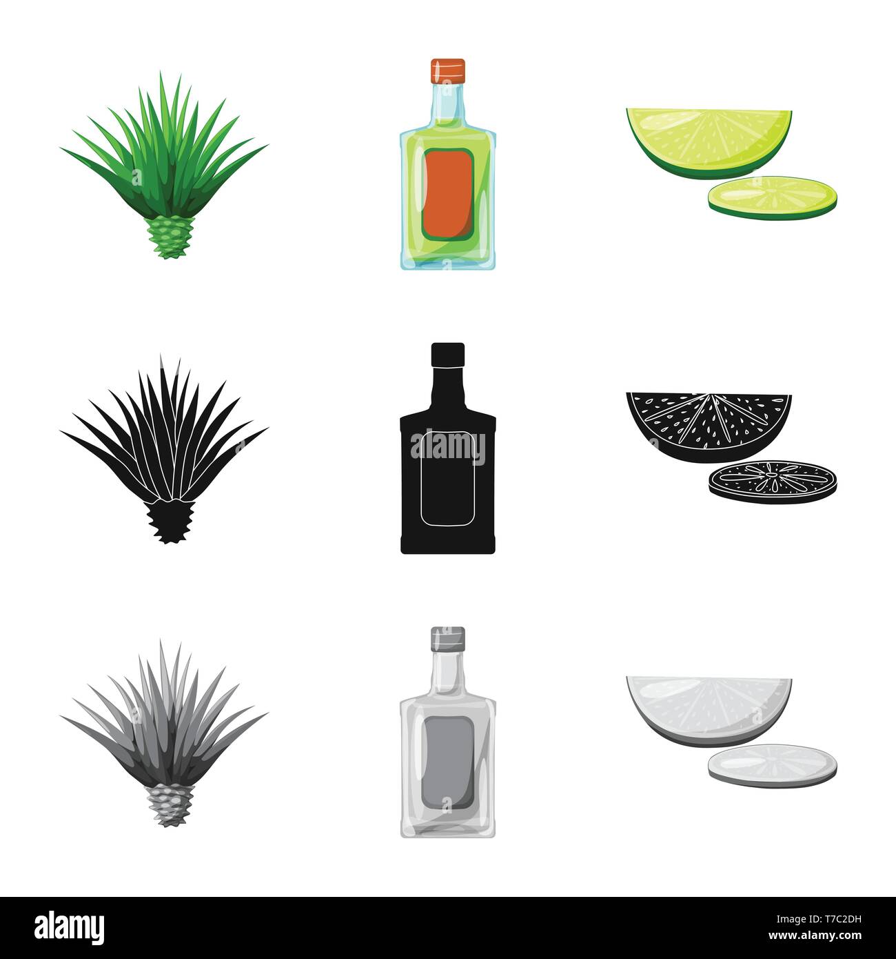 Tequila Blue Agave Fruit High Resolution Stock Photography and Images