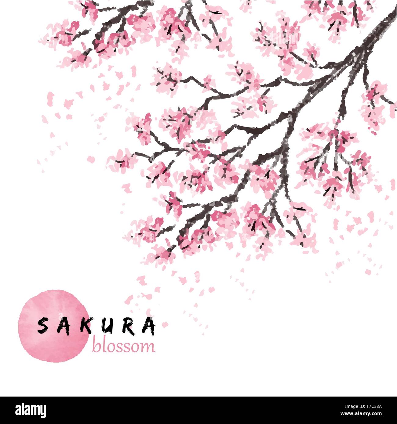 Sakura japan cherry branch with blooming flowers vector illustration ...