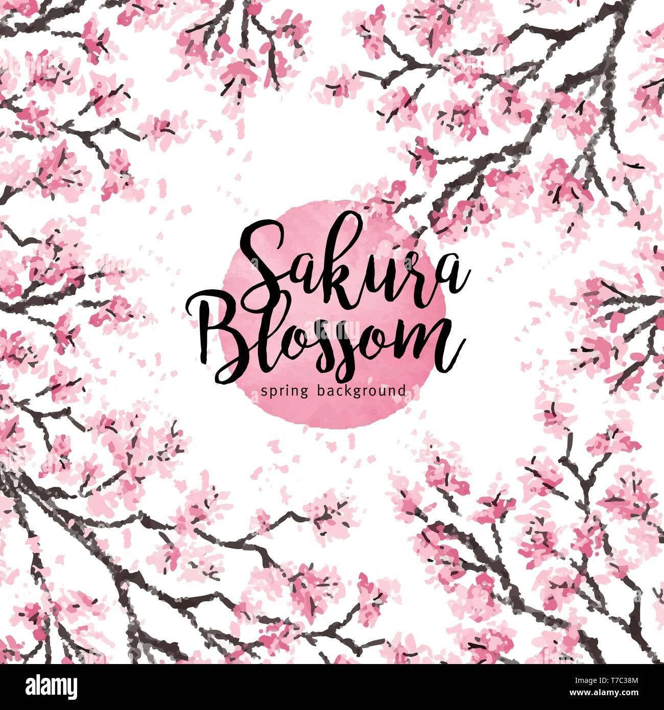 Sakura japan cherry branch with blooming flowers vector illustration ...