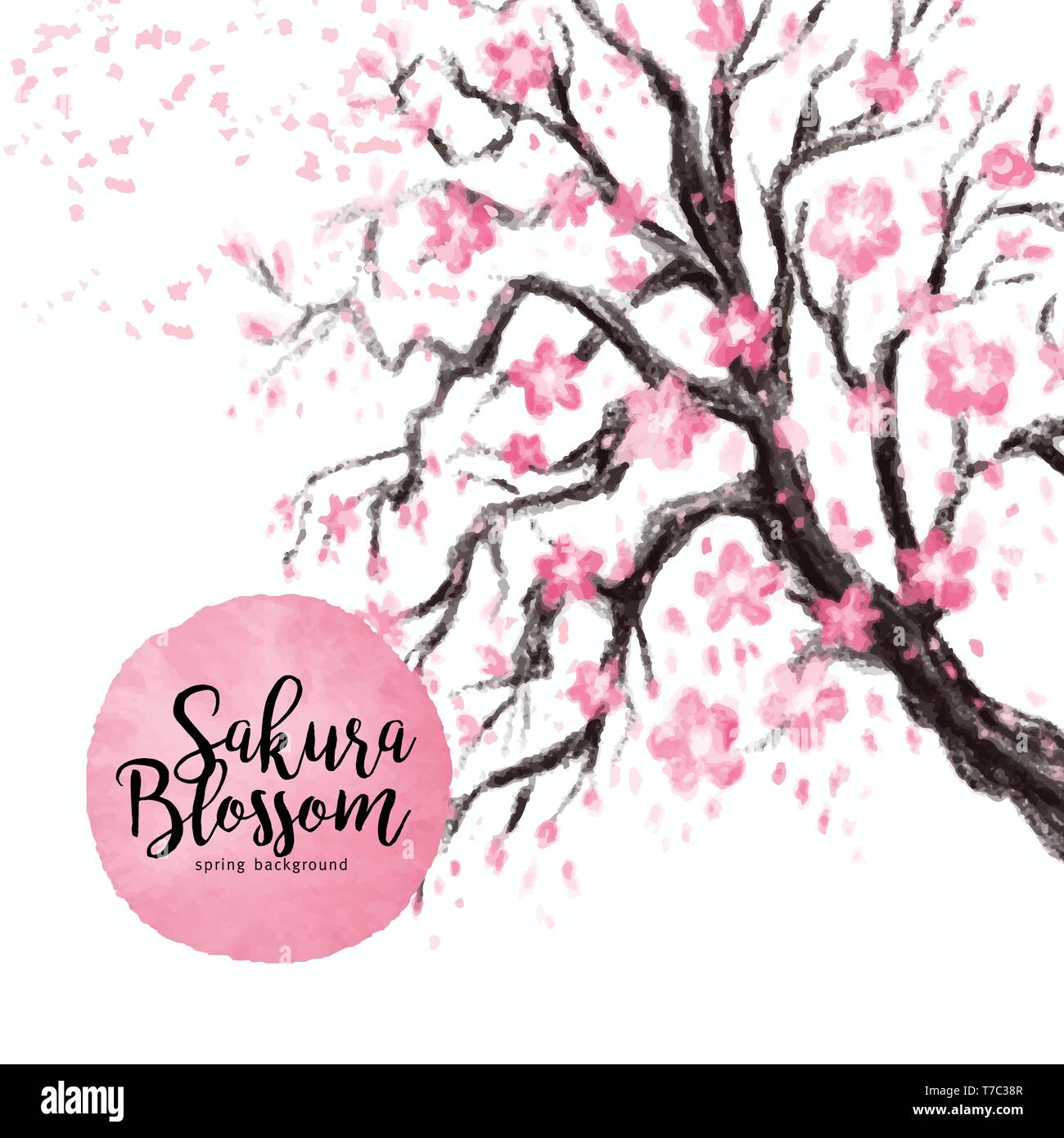 Sakura japan cherry branch with blooming flowers vector illustration ...